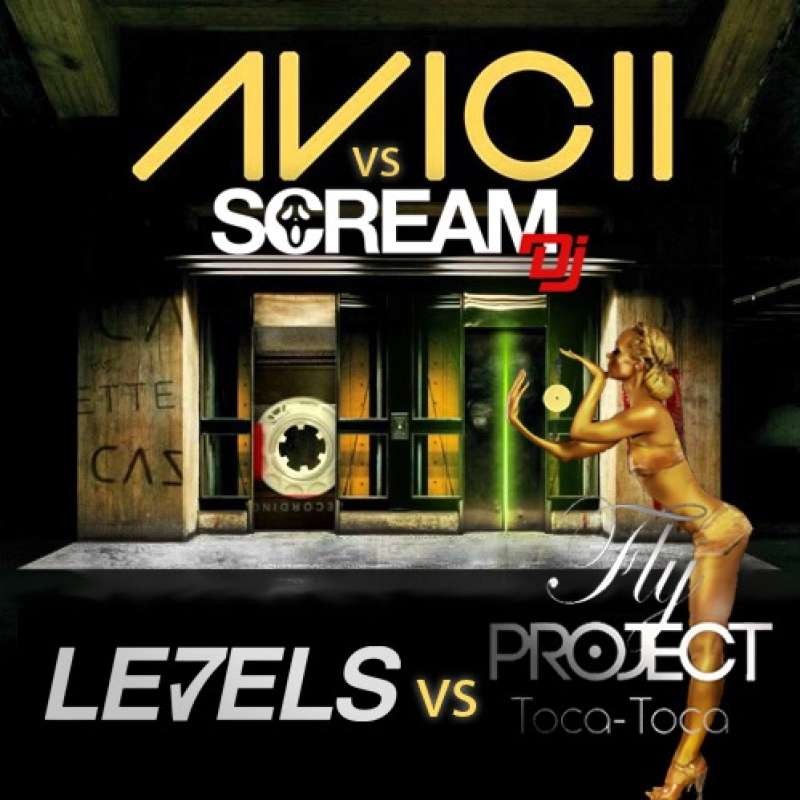Avicii & Fly Project - Levels (Scream Dj Mashup)