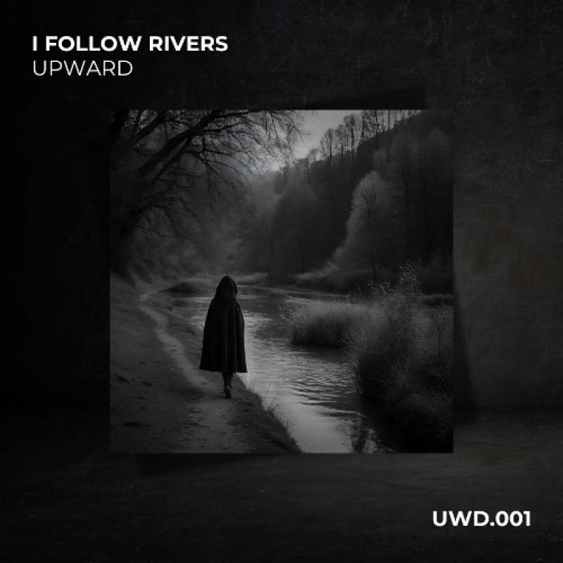 UPWARD - I Follow Rivers (Extended Mix)