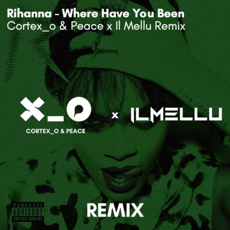 Rihanna - Where Have You Been (Cortex_o & Peace x Il Mellu Remix)