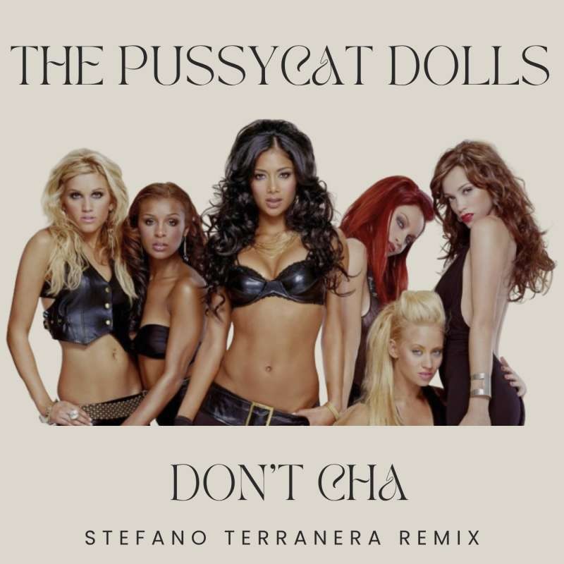The Pussycat Dolls - Don't Cha ( Stefano Terranera Afro House Remix )