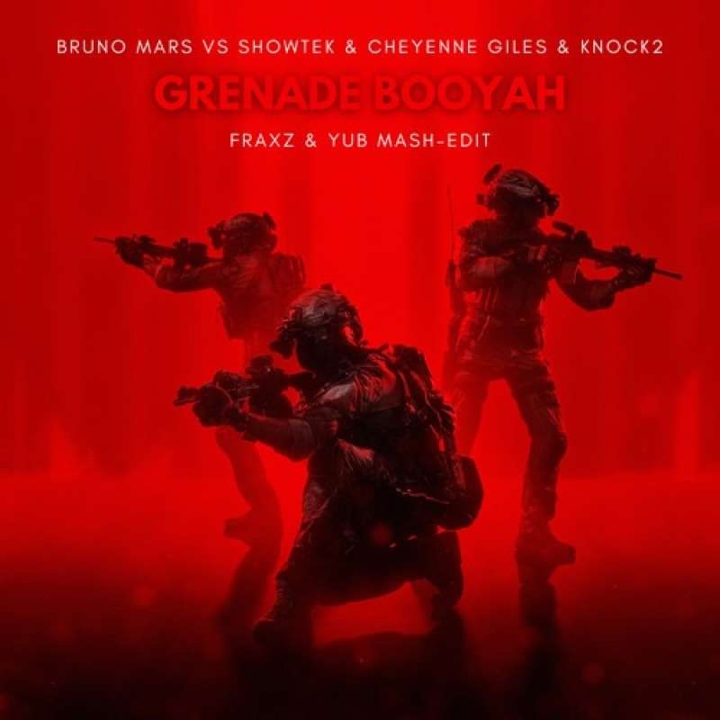 Bruno Mars - Grenade (Fraxz & YuB Mashup)
