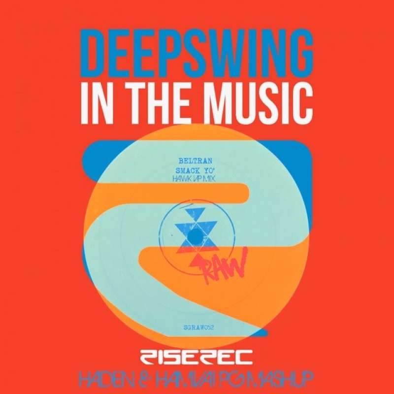 Deepswing - In The Music (HADEN Mashup)