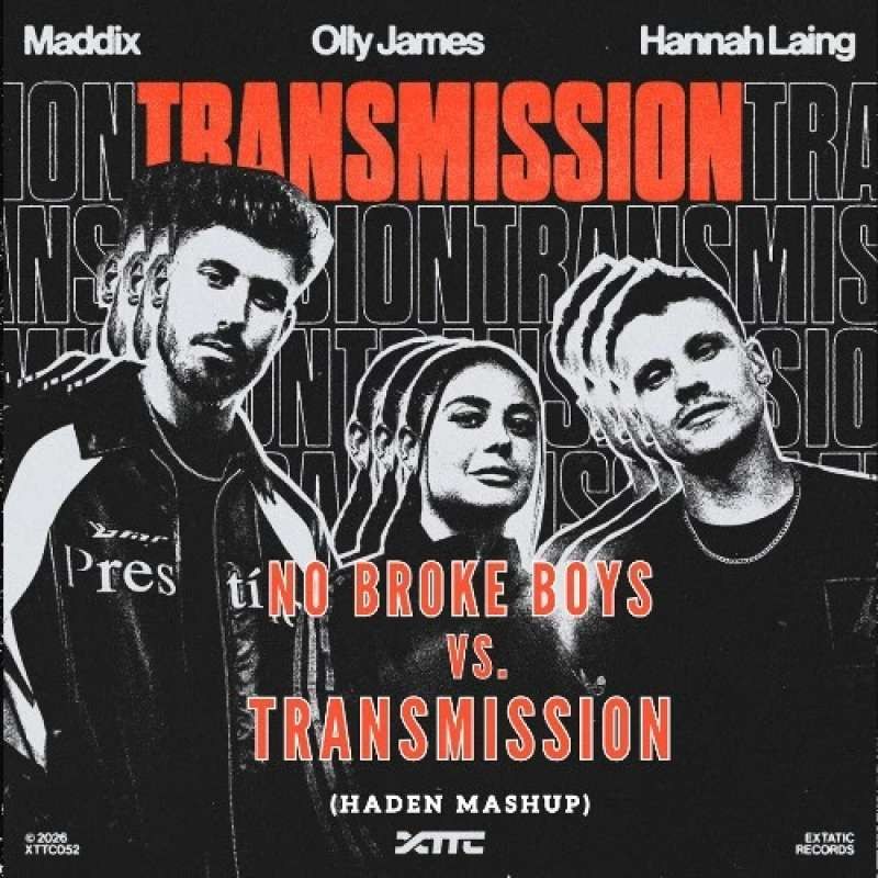 Disco Lines & Tinashe - No Broke Boys (HADEN Mashup)