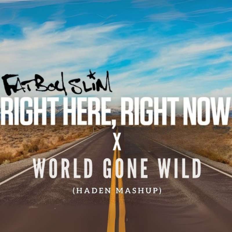 Robin Schulz, CYRIL - World Gone Wild (HADEN Mashup)
