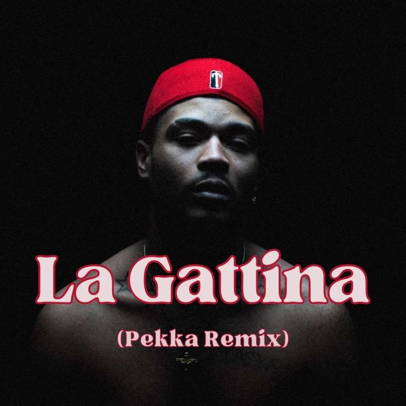 Artie 5ive – La Gattina (Pekka Remix)